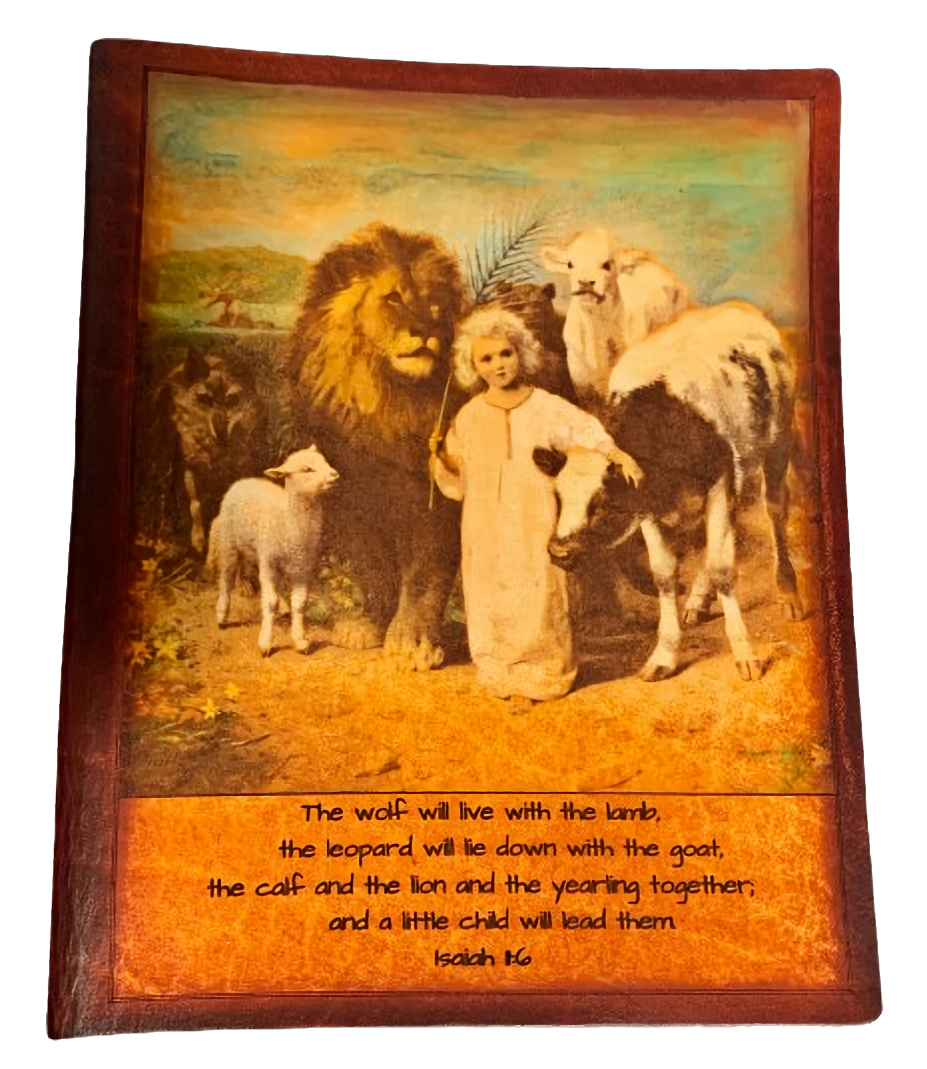 A custom leather bible with a hand-tinted photo engraved - an image of a child with a cow, lion, lamb, and wolf. A verse that reads: The wolf will live with the lamb, the leopard will lie down with the goat, the calf and the lion and the yearling together, and a little child will lead them. Isaiah 1:6